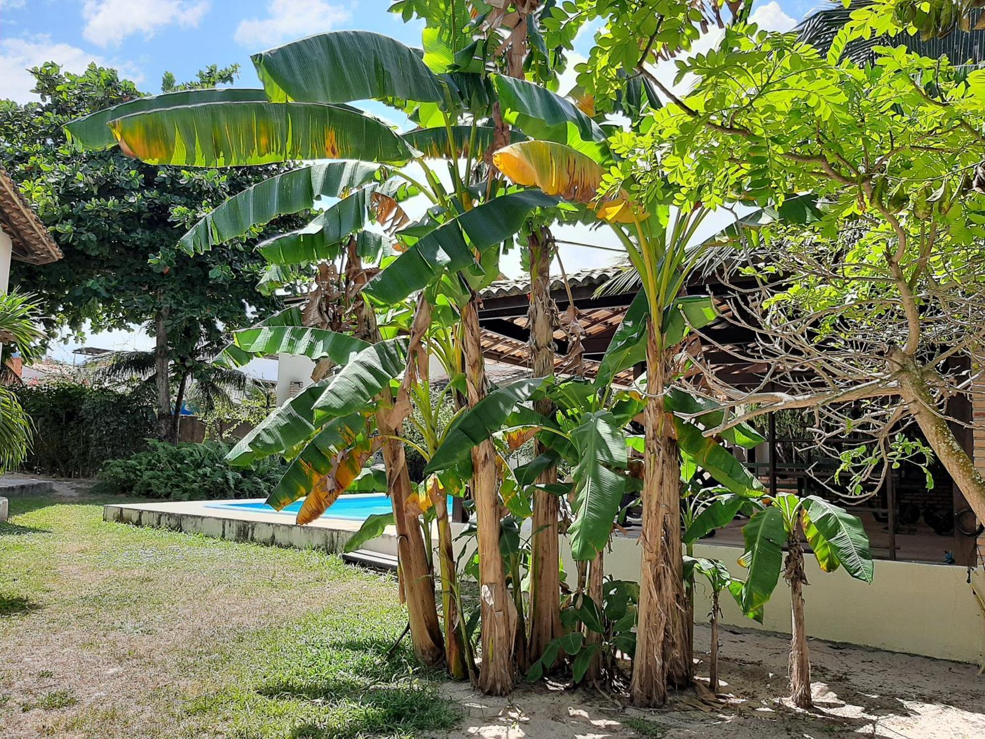 Casa Jeri Villa Jericoacoara Eksteriør billede